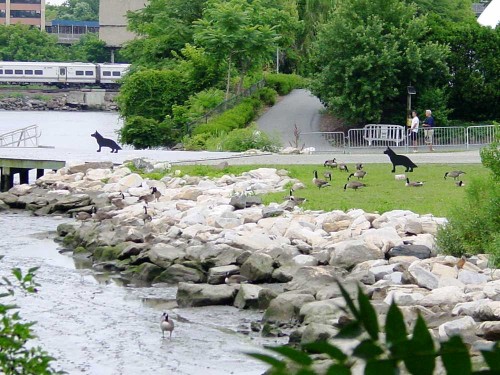 Inwood Hill PArk